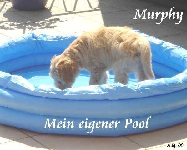 ../Images/Murphy-aug09-06Mein Pool.jpg